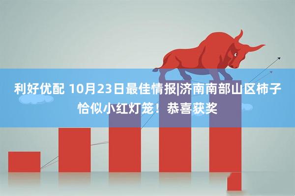 利好优配 10月23日最佳情报|济南南部山区柿子恰似小红灯笼！恭喜获奖