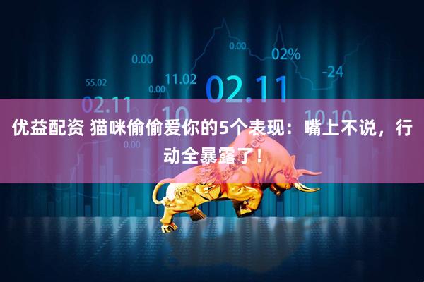 优益配资 猫咪偷偷爱你的5个表现：嘴上不说，行动全暴露了！