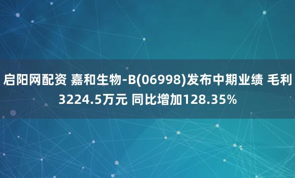启阳网配资 嘉和生物-B(06998)发布中期业绩 毛利3224.5万元 同比增加128.35%