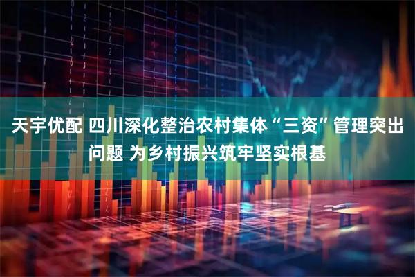 天宇优配 四川深化整治农村集体“三资”管理突出问题 为乡村振兴筑牢坚实根基
